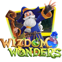 wizdom-wonders (1)